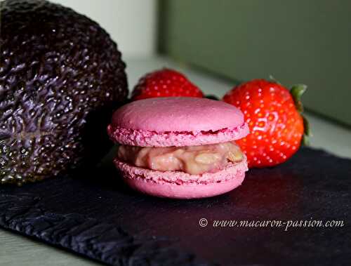 Macaron fraise avocat