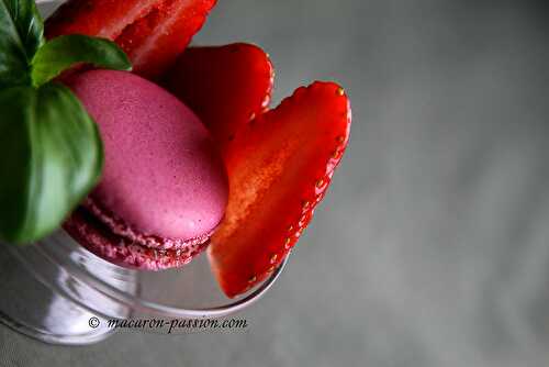 Macaron fraise basilic