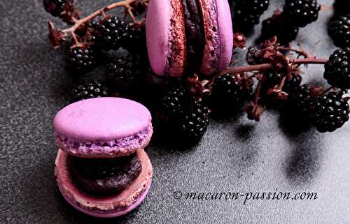 Macaron mûre chocolat noir