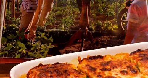 Lasagnes roulées aux champignons et sauce rosée