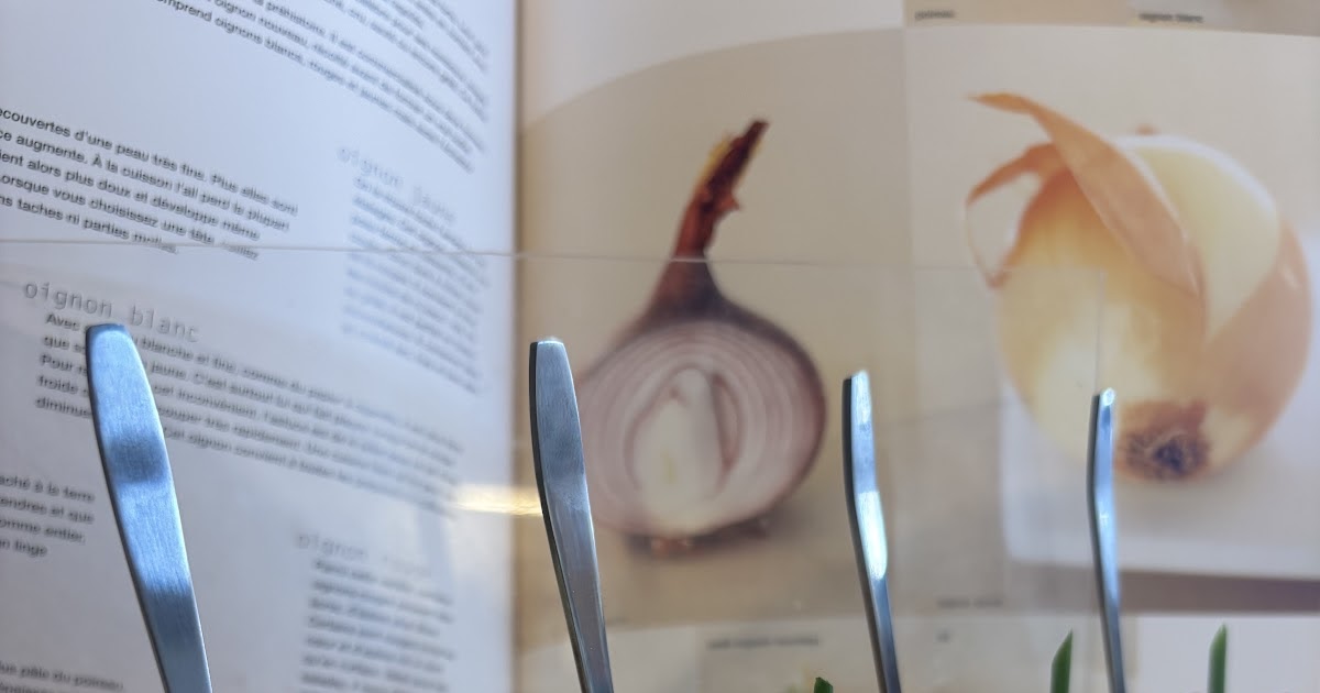 Verrines de carottes , mousse fondante de fromage et lardons