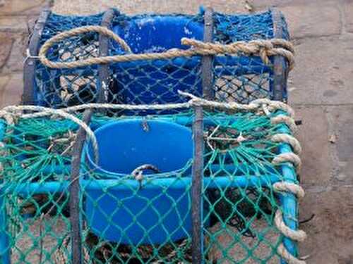 Thème de la semaine : Menu de saison bord de mer.