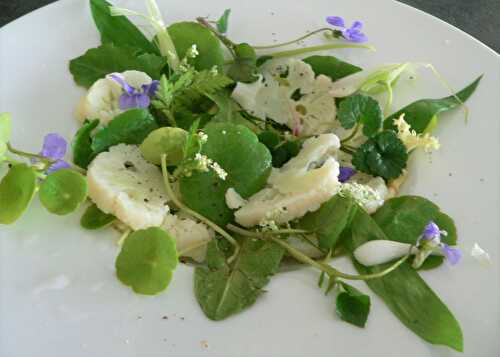 Salade de printemps à l’ail des ours | magg kitchenette