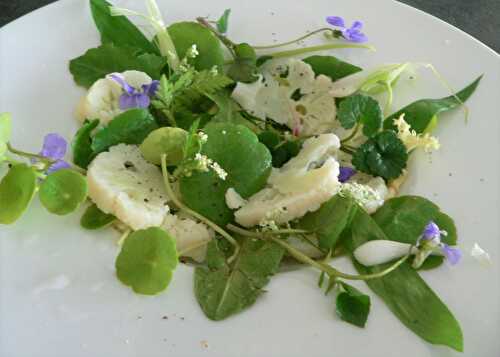 Salade de printemps à l’ail des ours