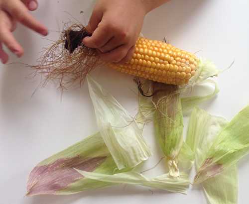 Comment préparer les épis de maïs ?