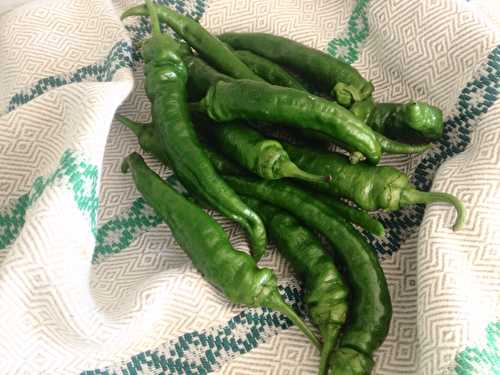 Piment doux #recette apéro