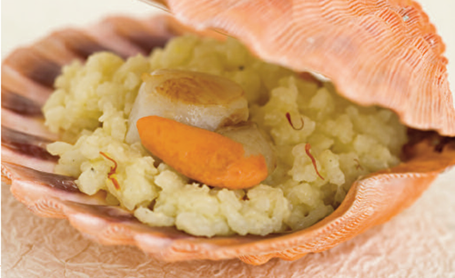 Recette enfant : risotto au safran et coquille Saint-Jacques