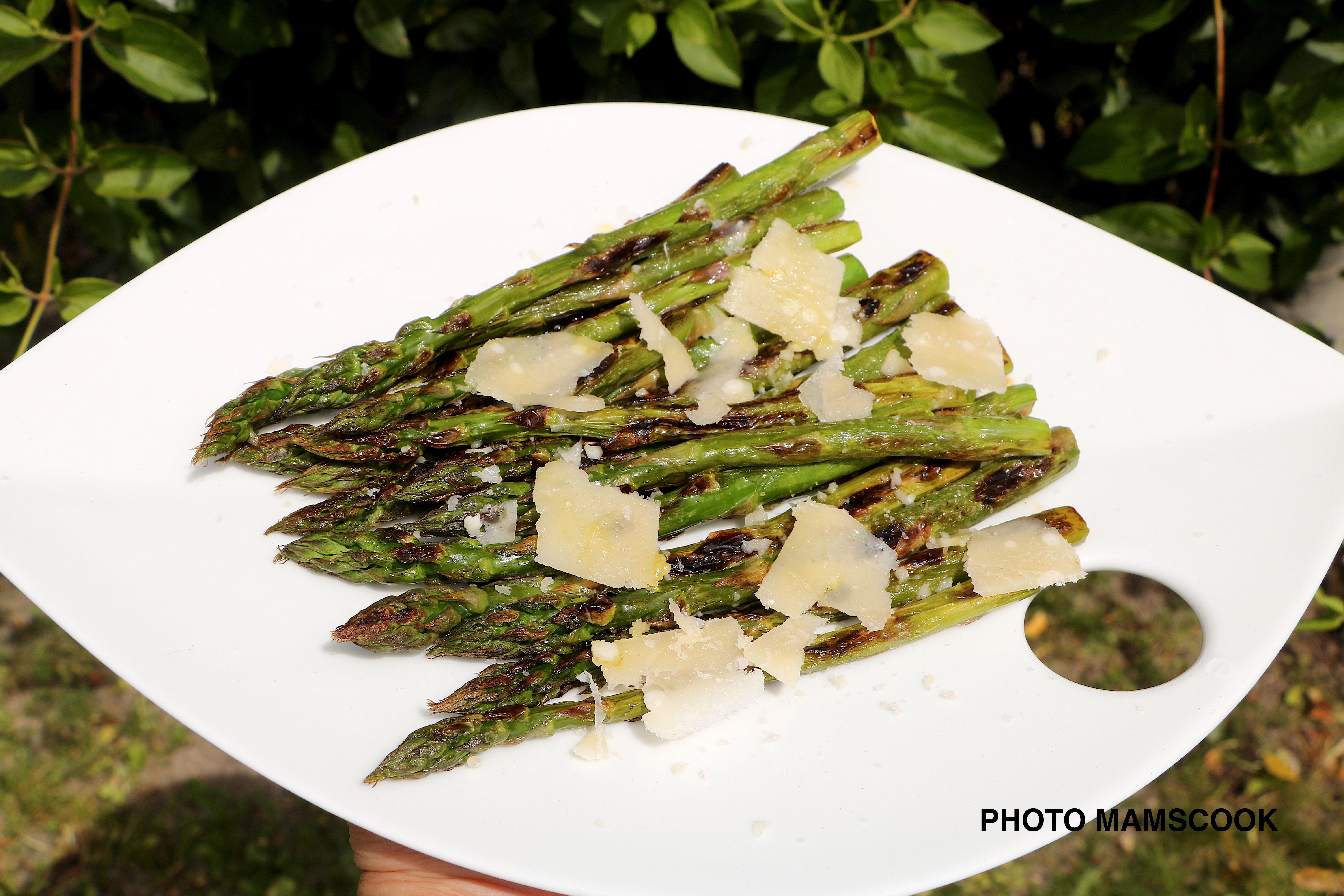 Asperges vertes à la plancha, fleur de sel et copeaux de parmesan