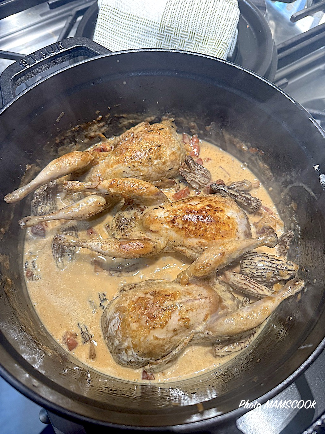 Cailles à la crème et aux morilles