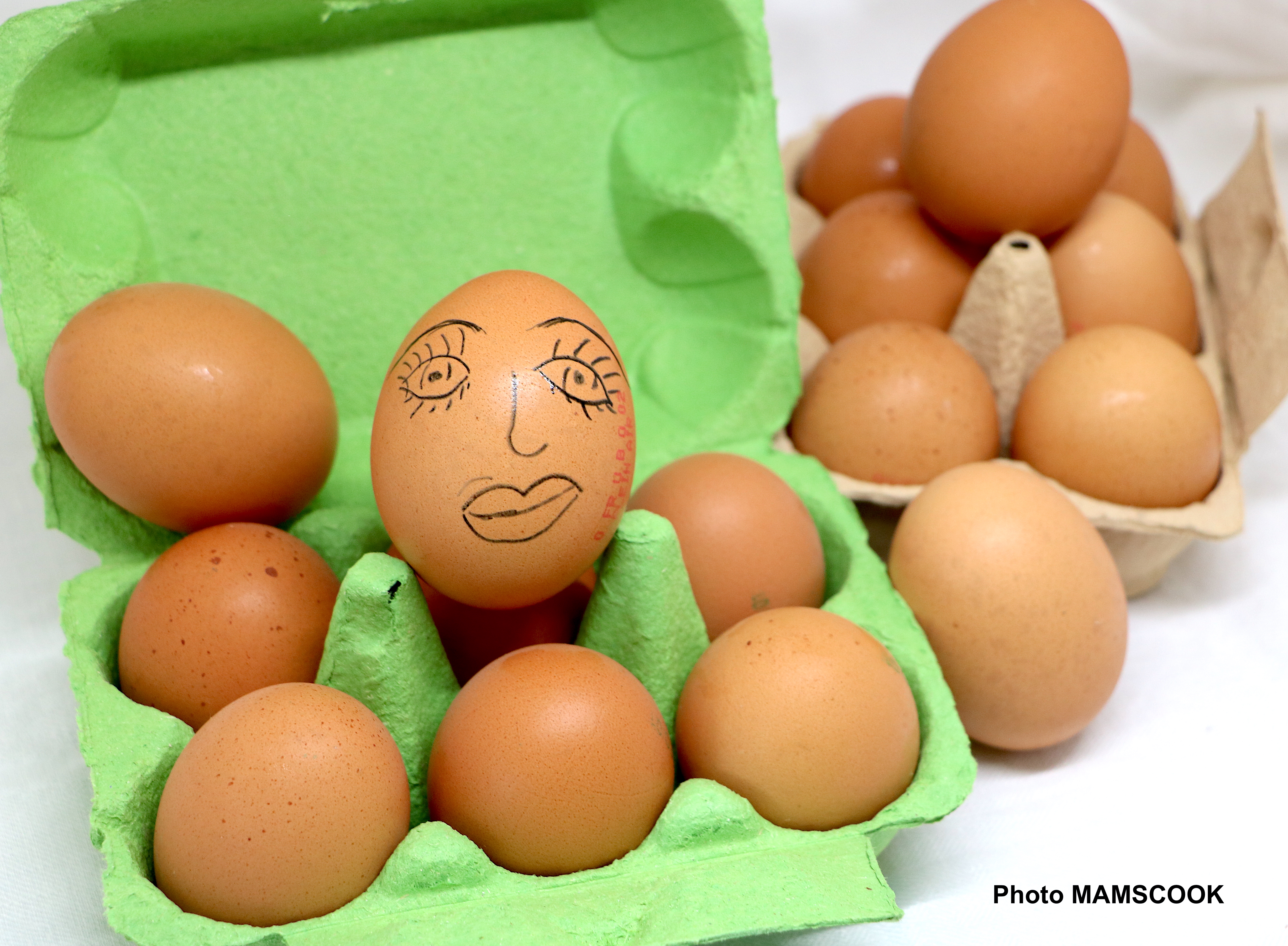 Comment décoder les boites d'oeufs?