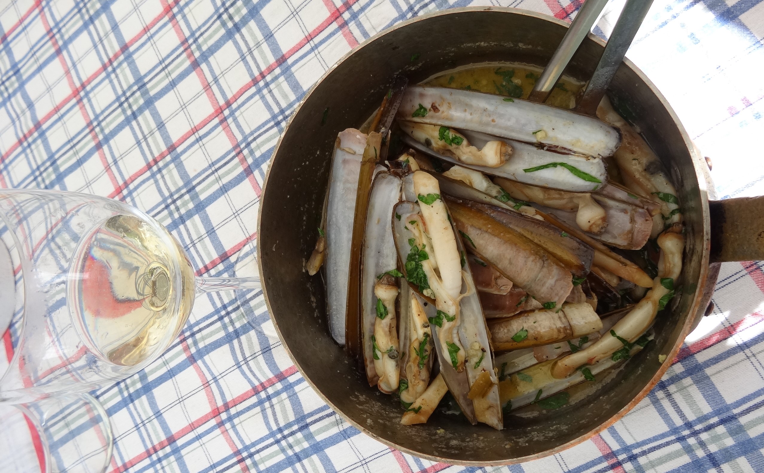 Couteaux à la plancha