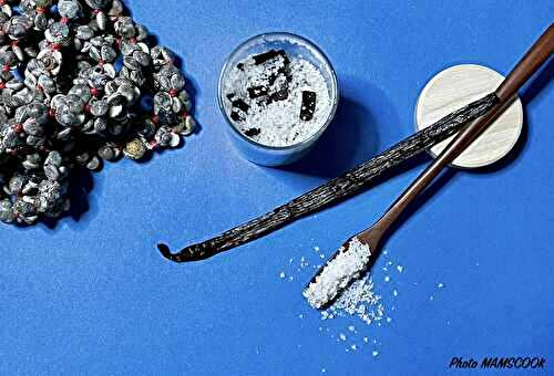 Faire son sel à la vanille comme à Tahiti!