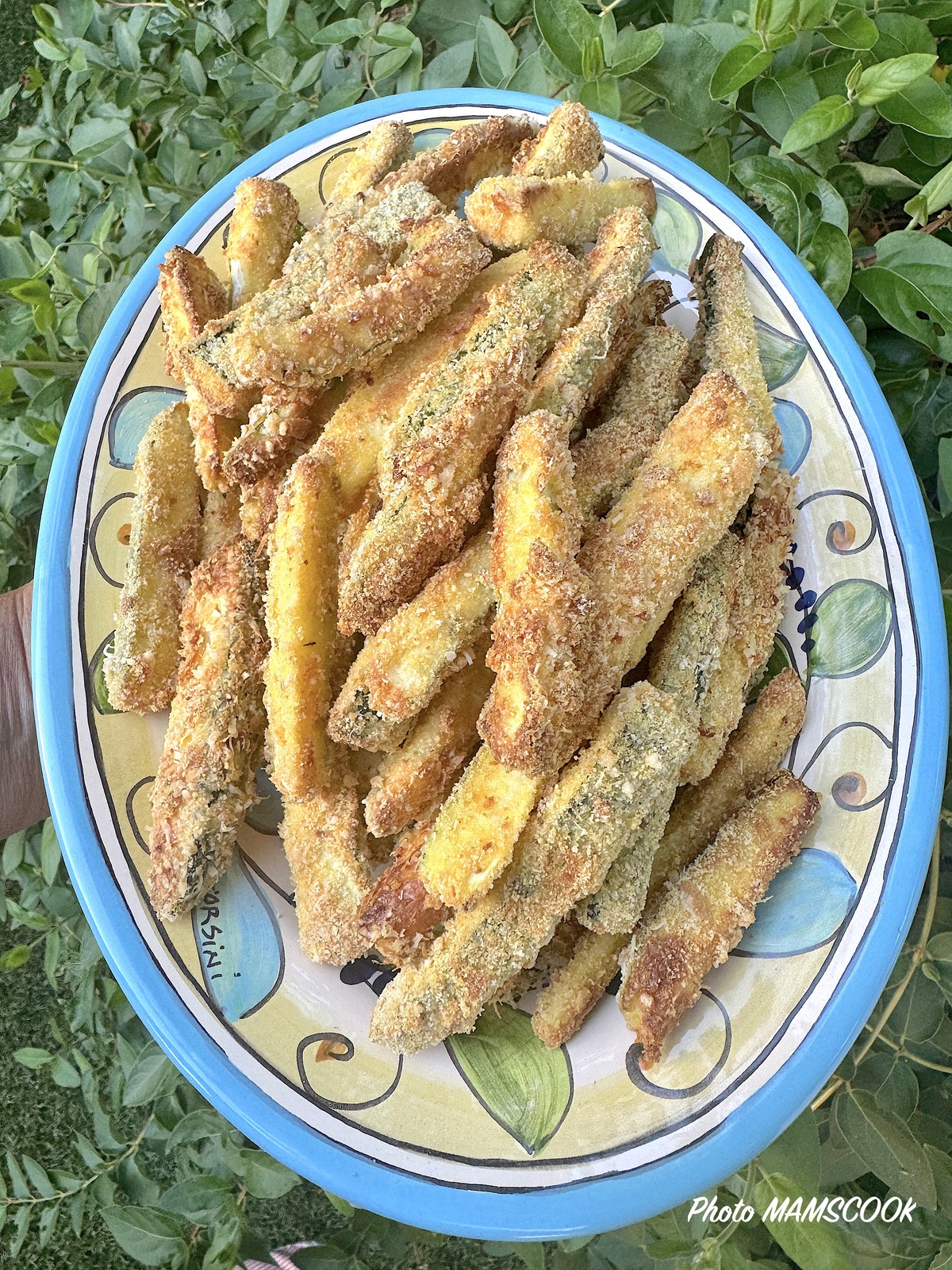 Frites de courgettes