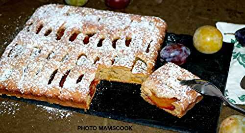 Gâteau aux deux prunes