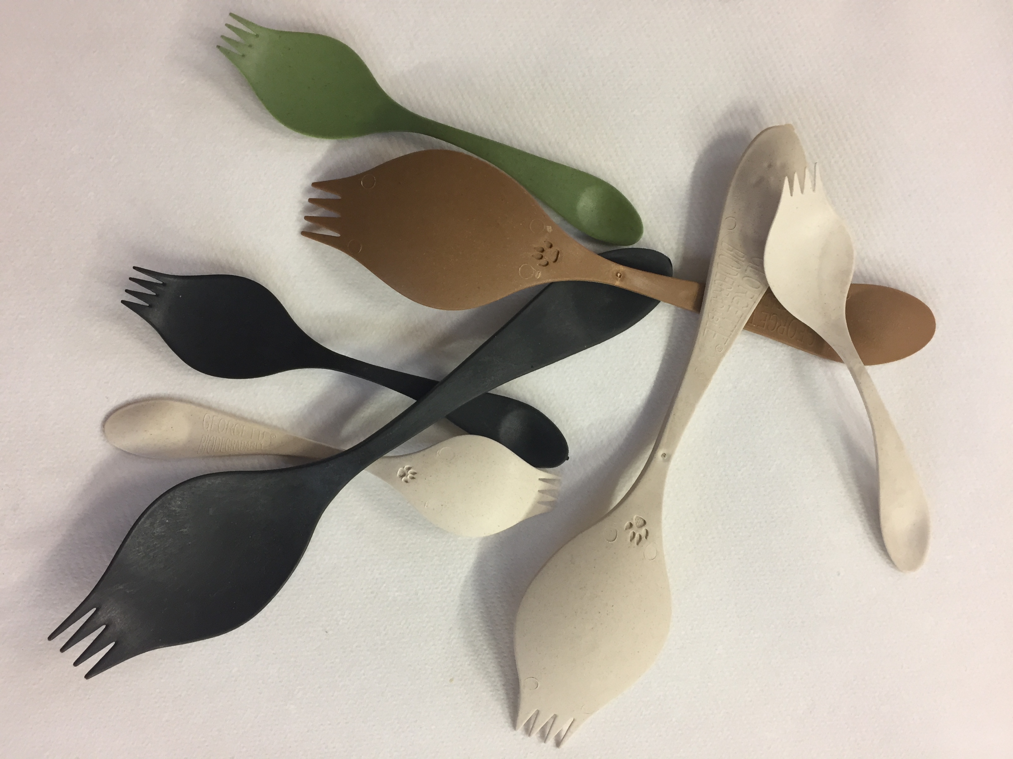 Le lycée international de Colomier, est le premier lycée de France à troquer fourchettes et cuillères contre la Georgette