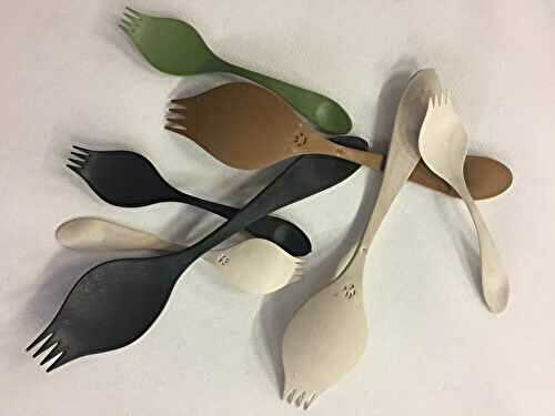 Le lycée international de Colomier, est le premier lycée de France à troquer fourchettes et cuillères contre la Georgette