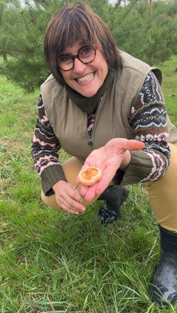 Le verger à champignons bio du Domaine d'Escons, le seul verger à champignons de France!
