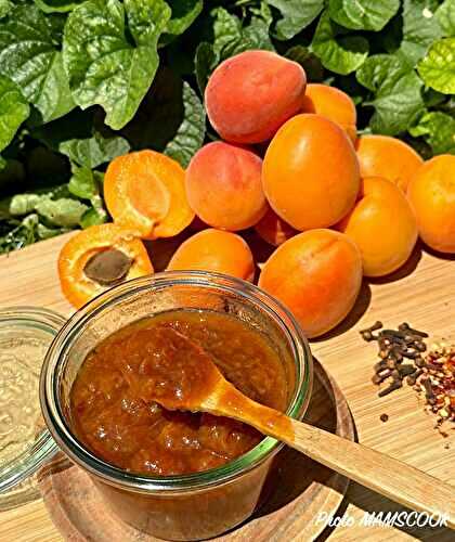 Les menus de la semaine 31 par Mamscook