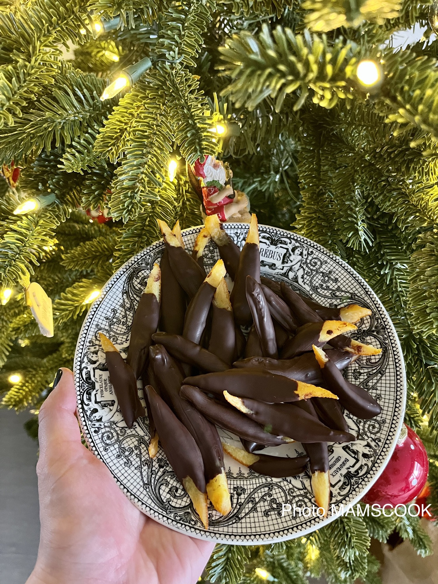 Les orangettes de Léa