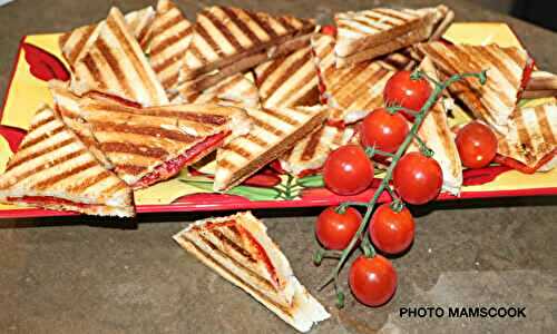 Mes Croques Monsieur à l'Espagnol