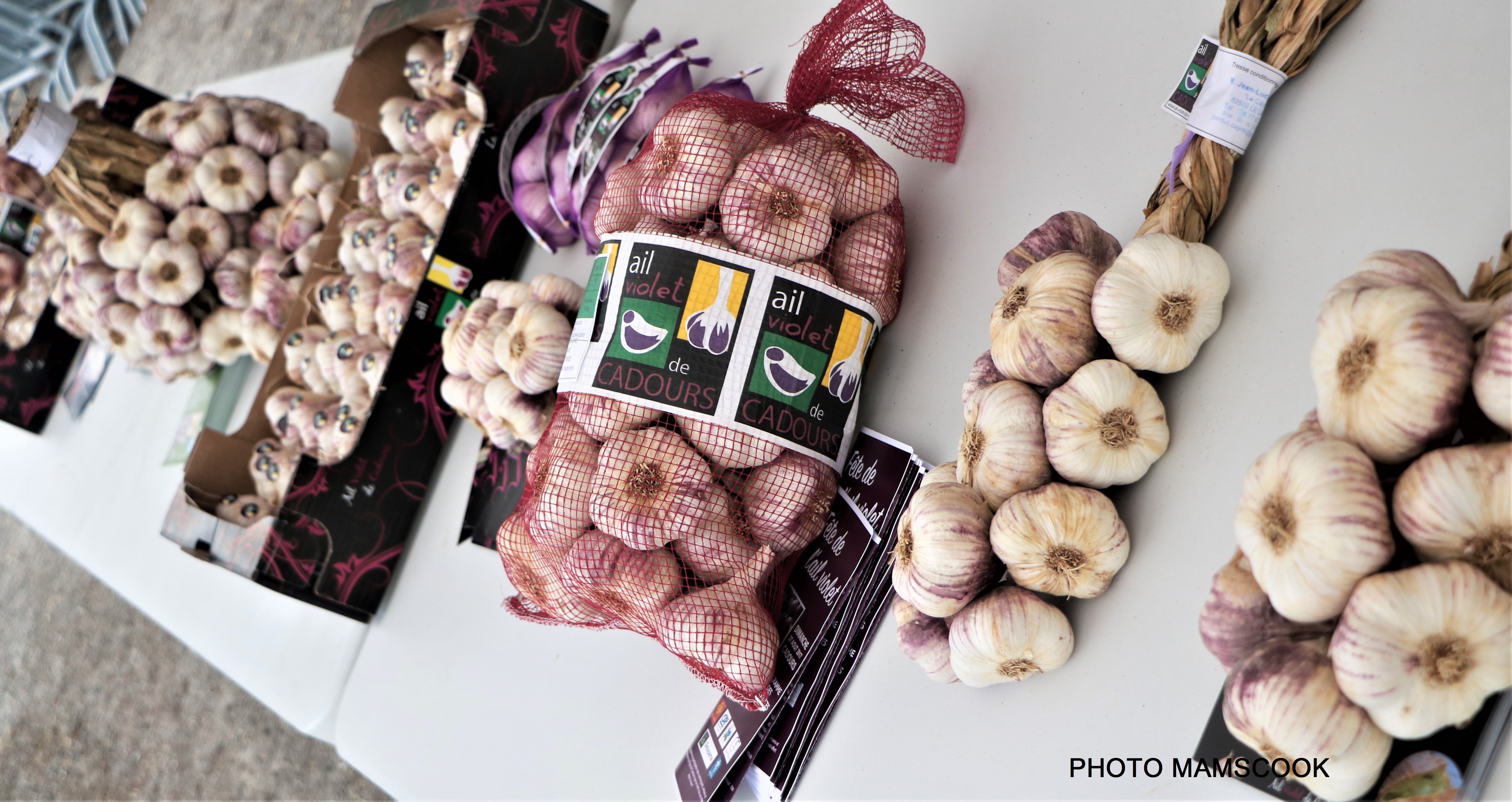 Qu'est ce que l'ail violet de Cadours