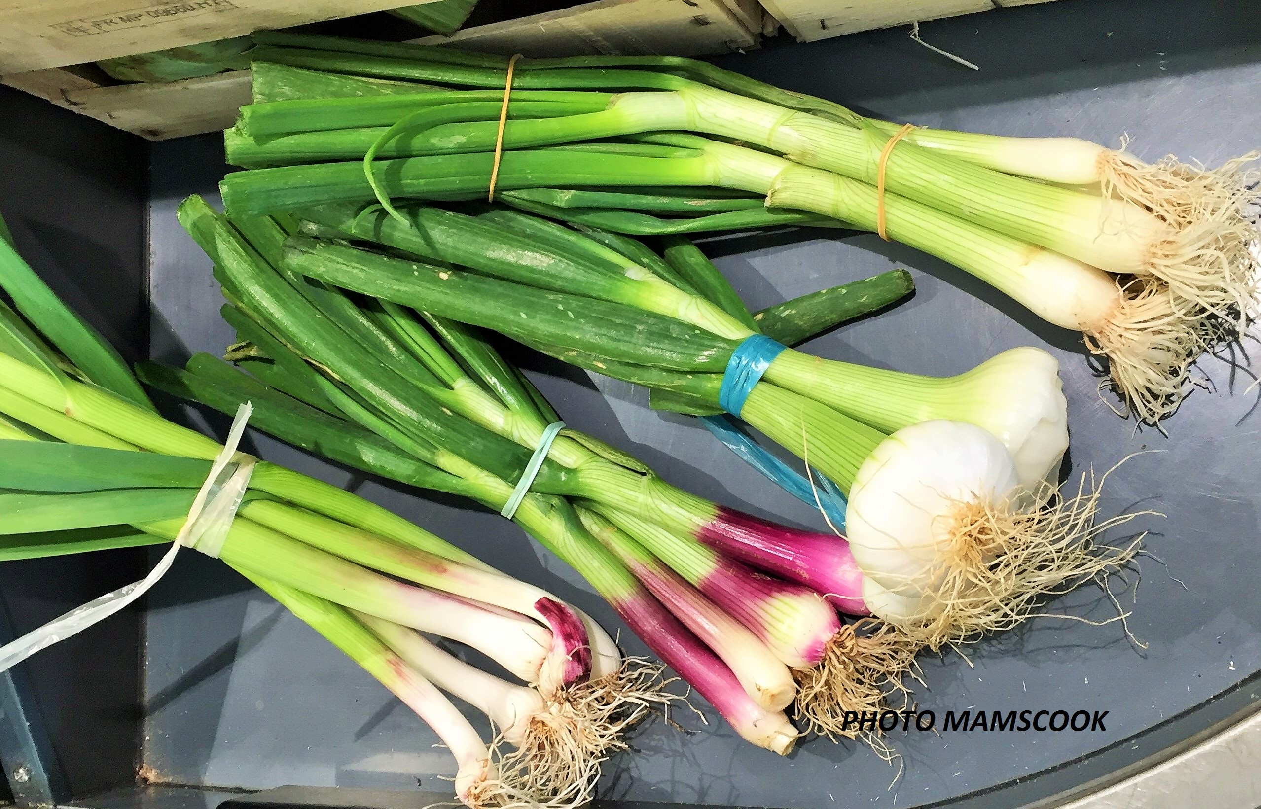 Qu'est ce que l'aillet?