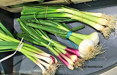 Qu'est ce que l'aillet?