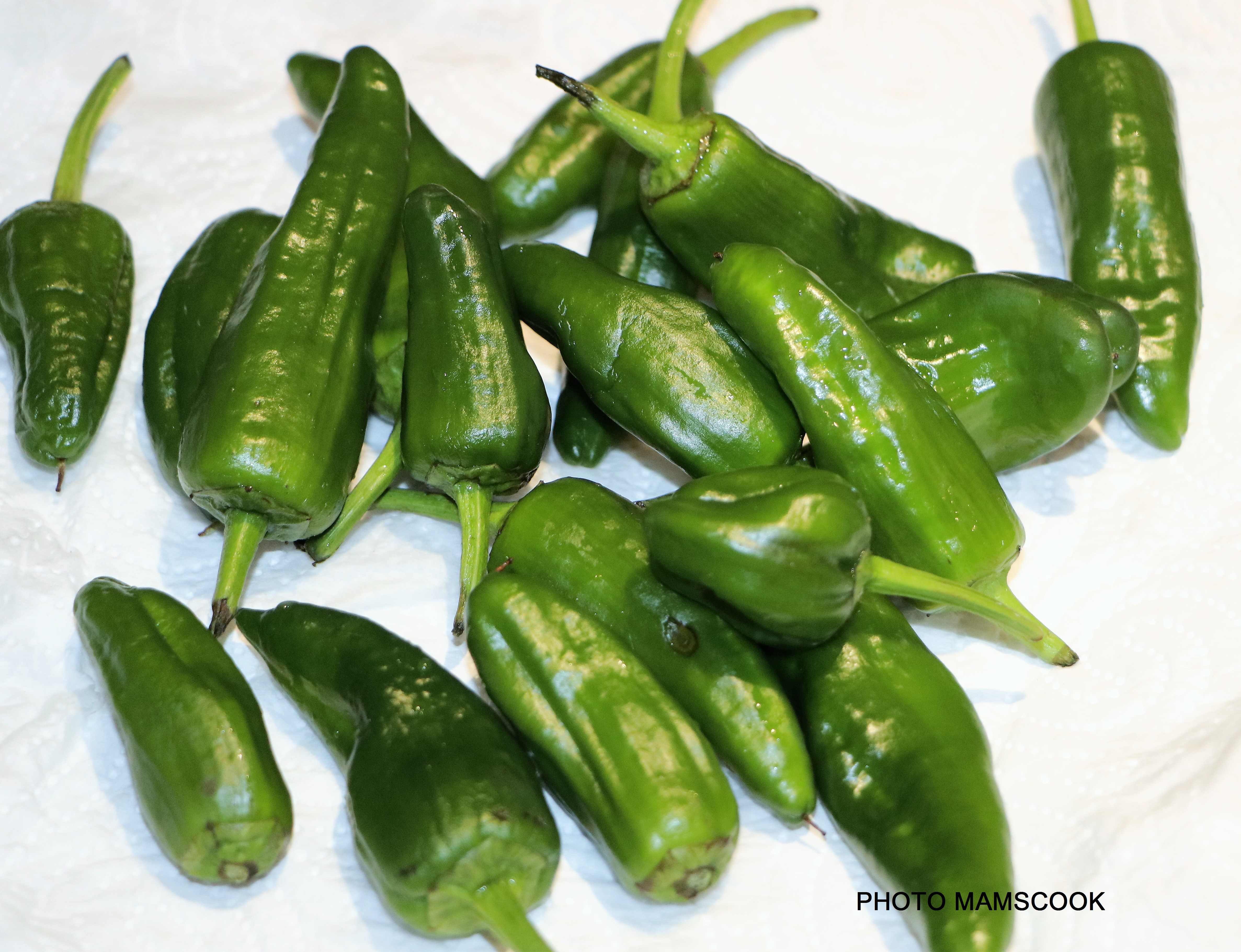 Qu'est ce que les Pimientos de Padron?