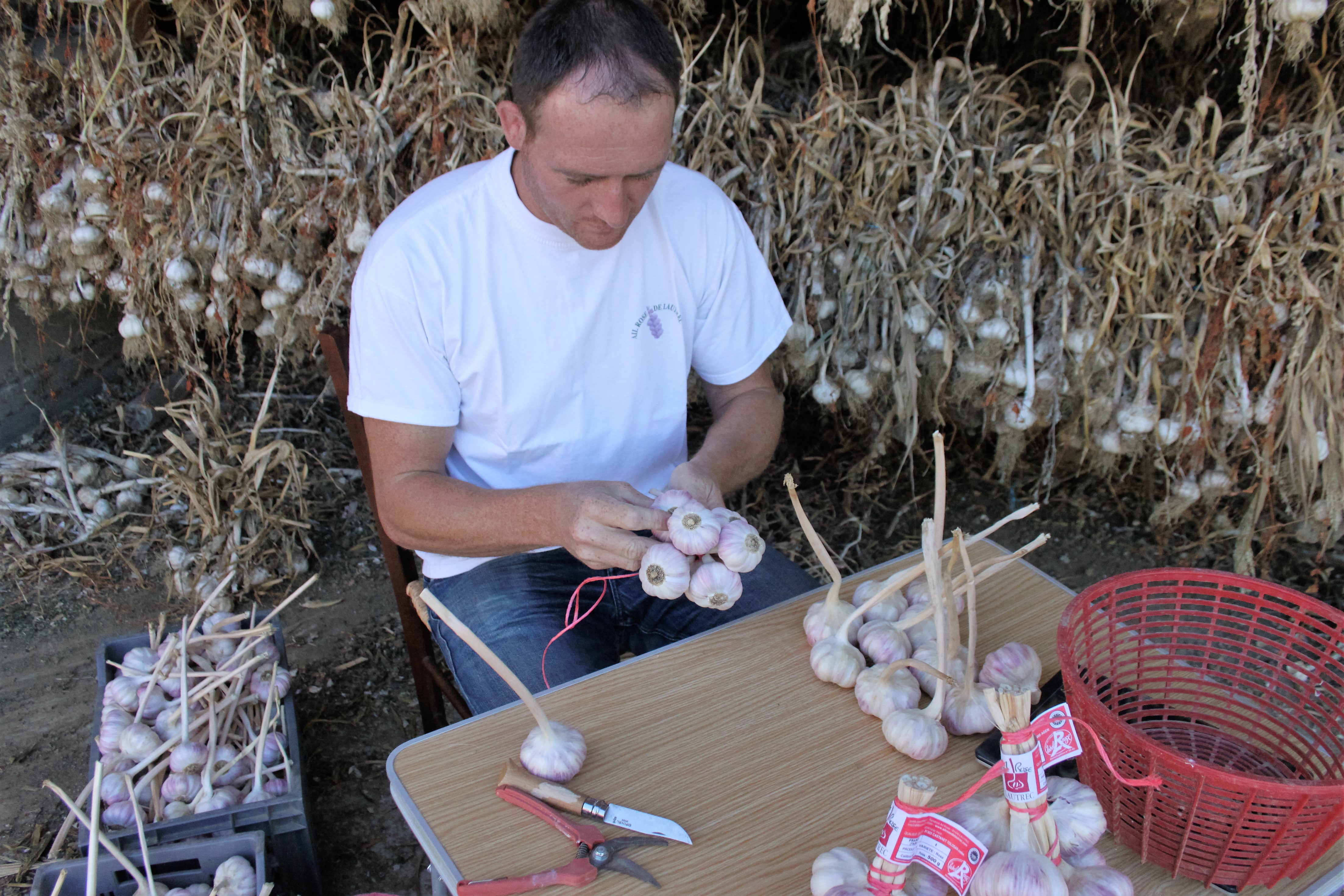 Rencontre avec Gaël Bardou, producteur d’Ail Rose à Lautrec et président du Syndicat de l’Ail Rose de Lautrec