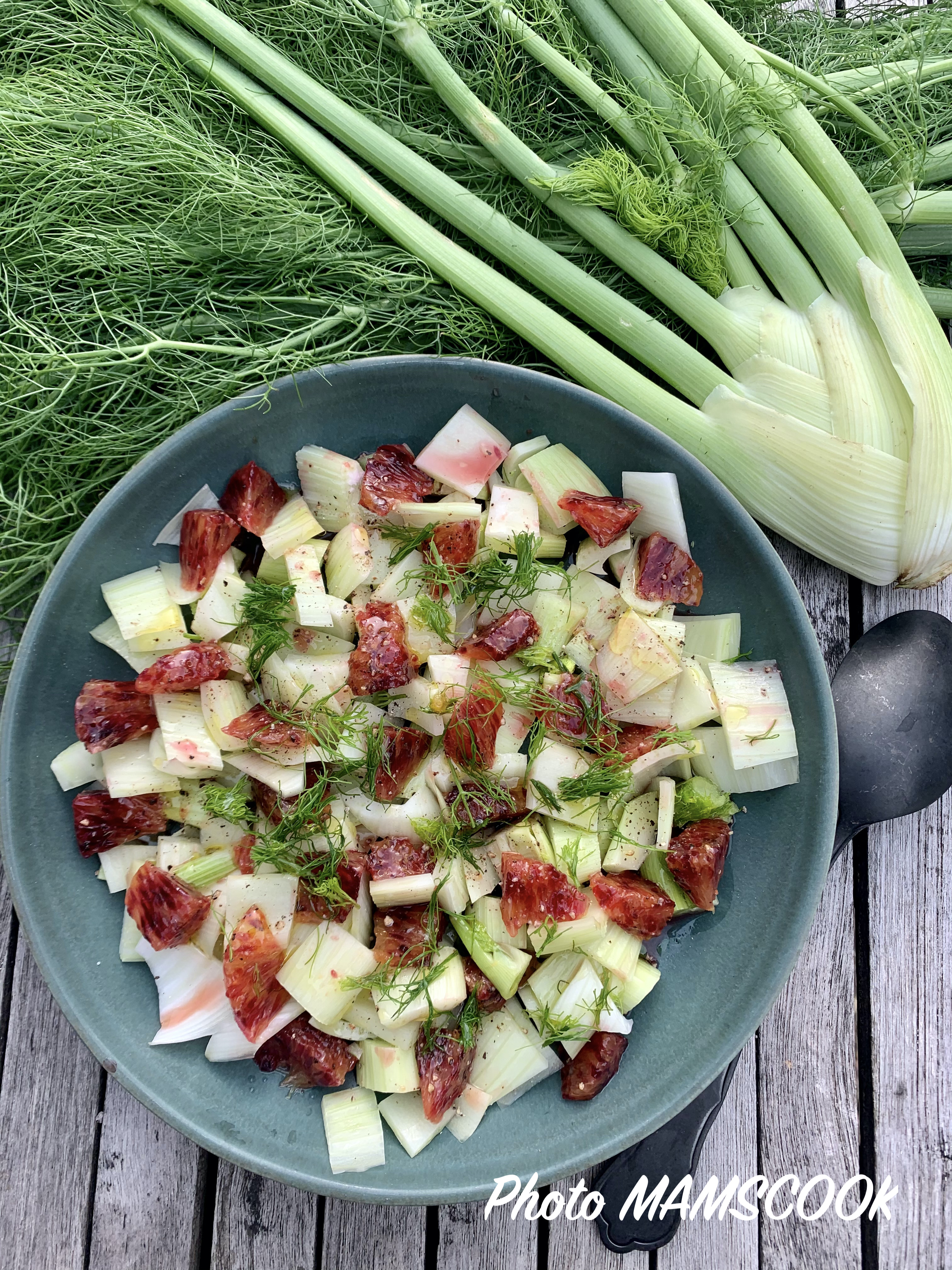 Salade de fenouil à l'orange sanguine