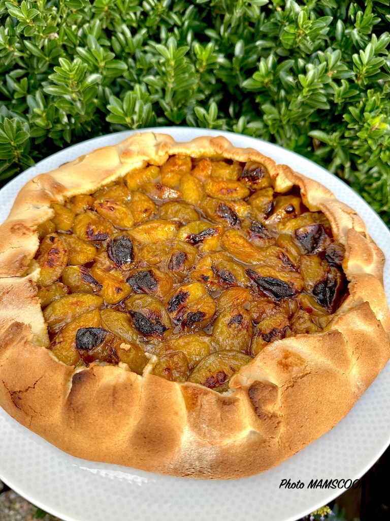 Tarte rustique aux prunes Reine-Claude