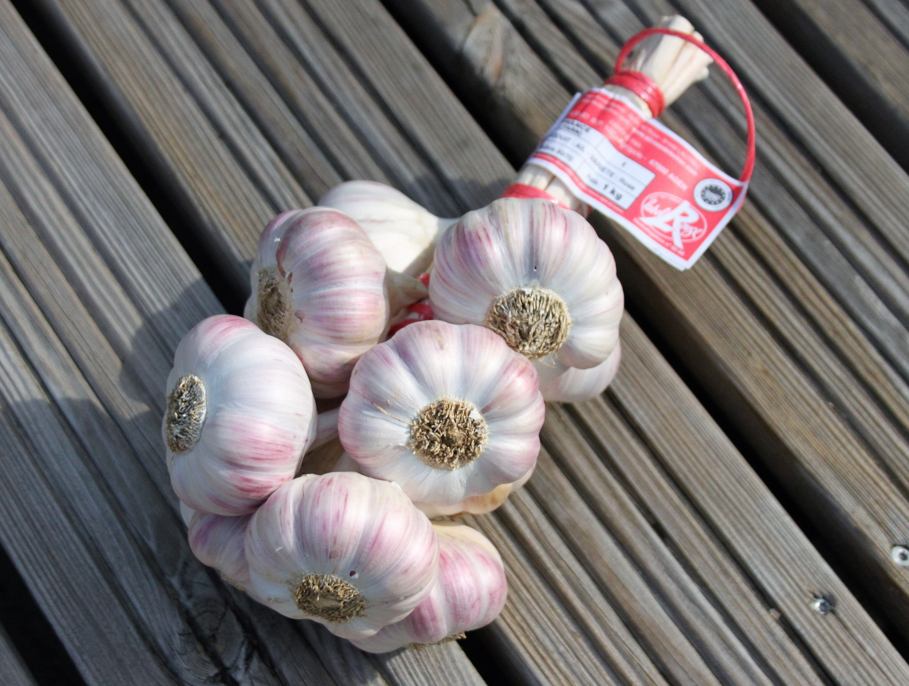 Tout savoir ou presque sur l'Ail Rose de Lautrec!