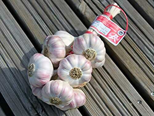 Tout savoir ou presque sur l'Ail Rose de Lautrec!