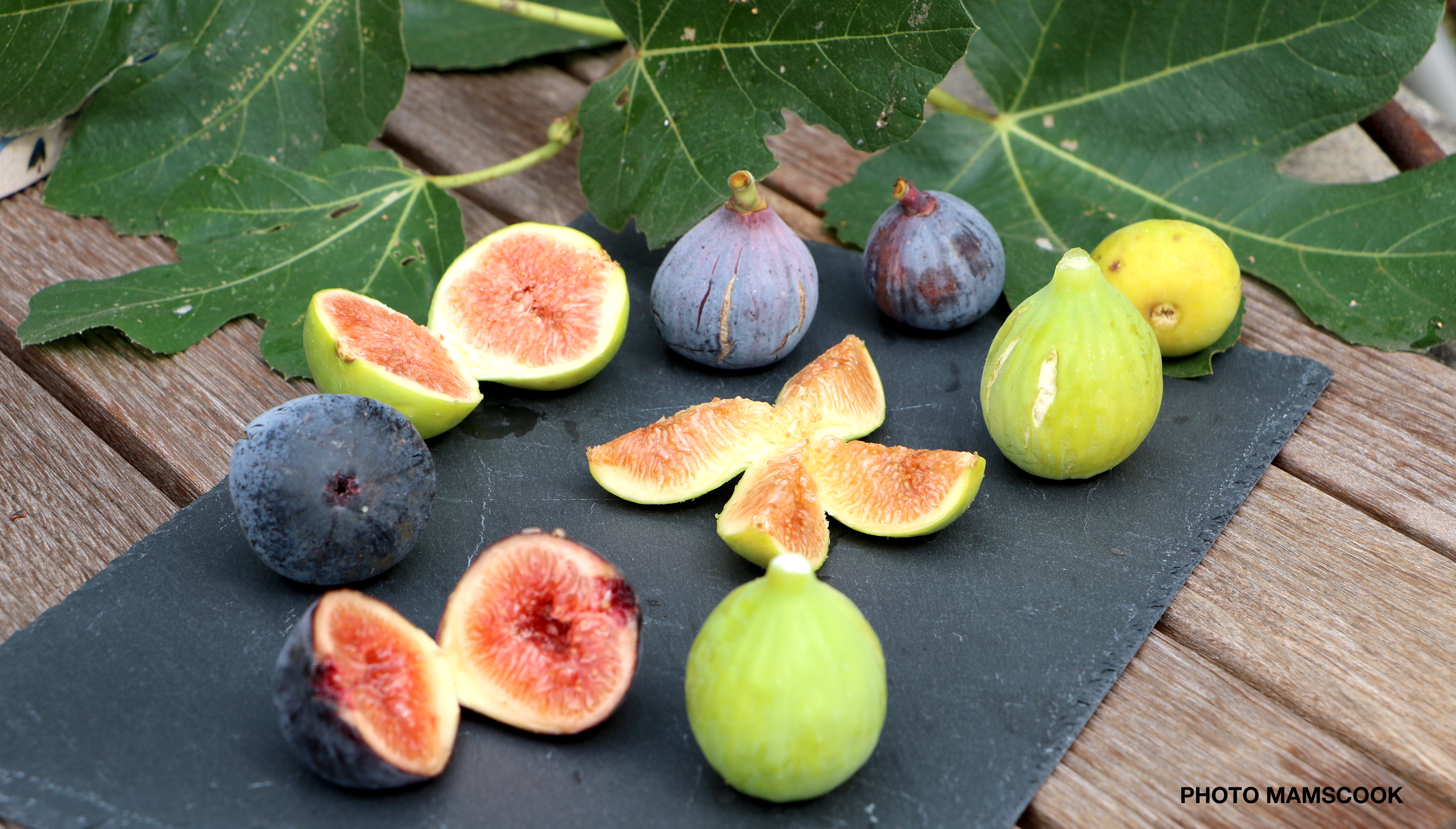 Tout savoir ou presque sur la... les figues!