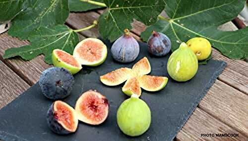 Tout savoir ou presque sur la... les figues!
