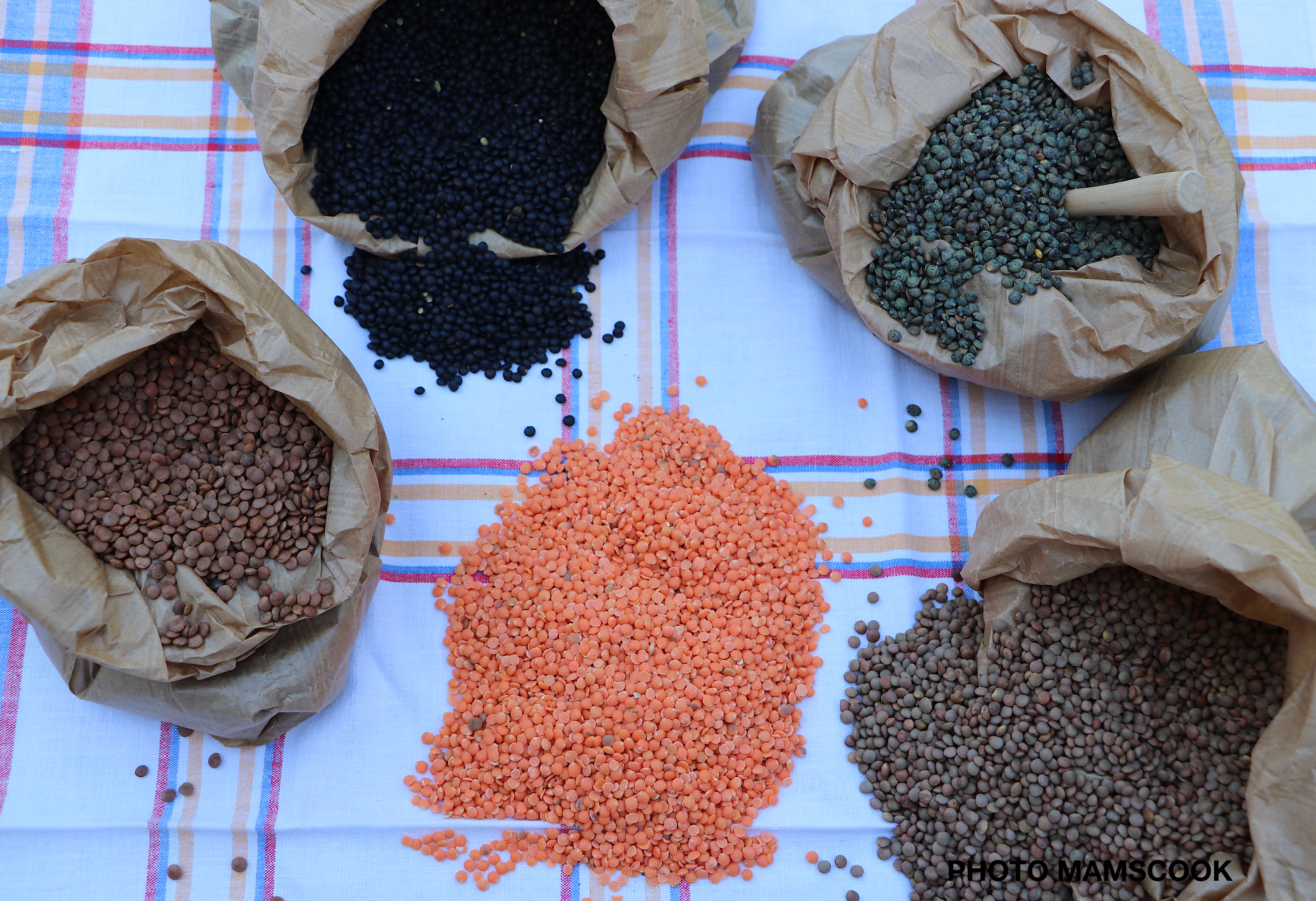 Tout savoir ou presque sur la... les lentilles