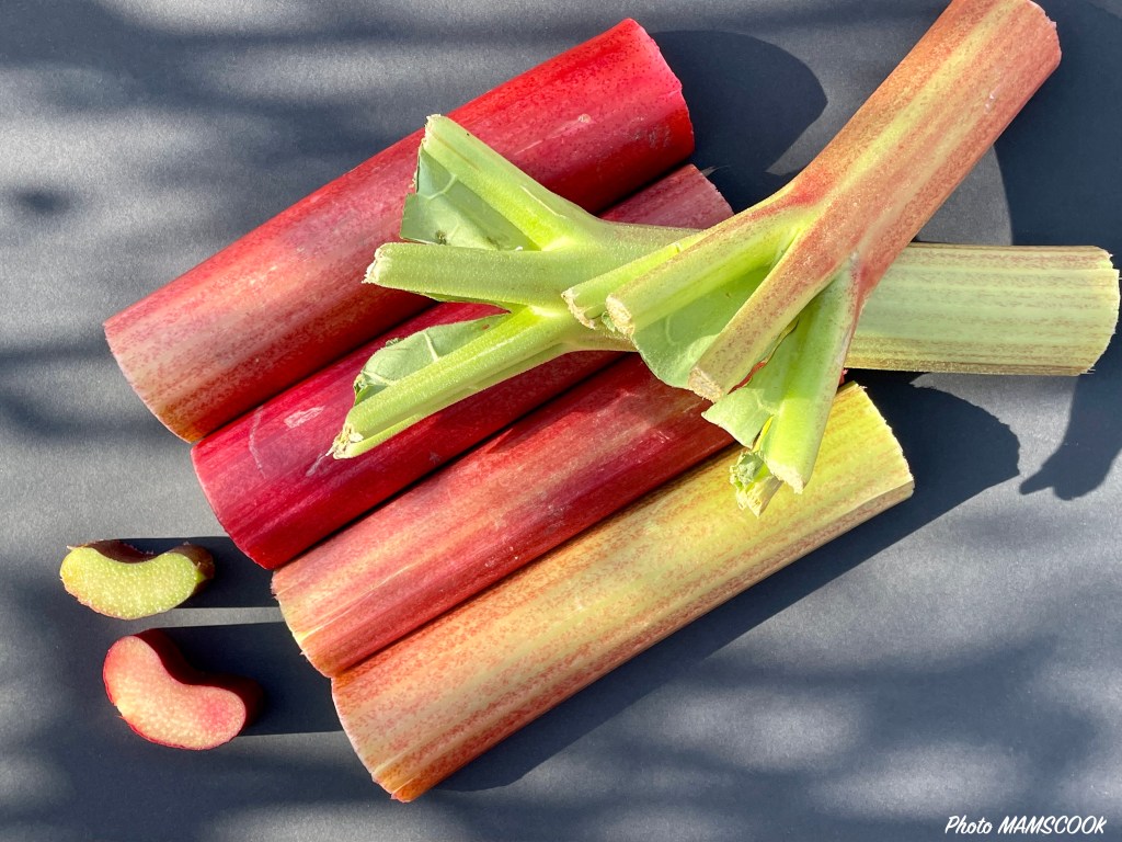 Tout savoir ou presque... sur la rhubarbe