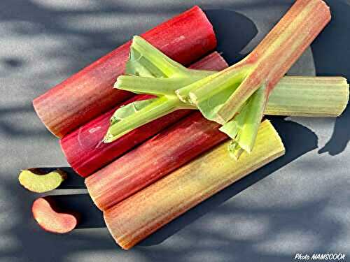 Tout savoir ou presque... sur la rhubarbe