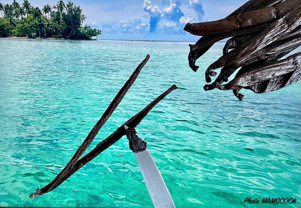 Tout savoir ou presque sur... la vanille
