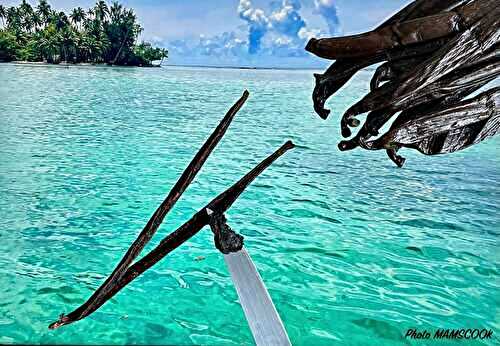 Tout savoir ou presque sur... la vanille