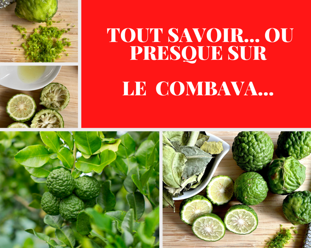 Tout savoir ou presque... sur le combava ou combawa ou...