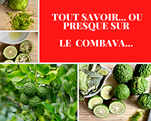 Tout savoir ou presque... sur le combava ou combawa ou...