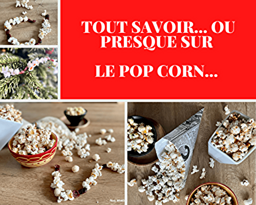 Tout savoir ou presque… sur le pop-corn…