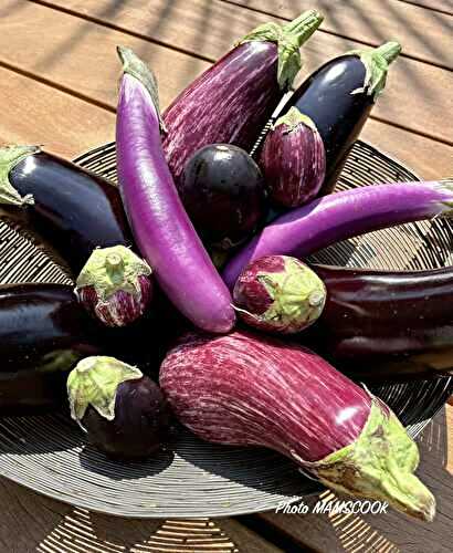 Tout savoir ou presque sur ... les aubergines