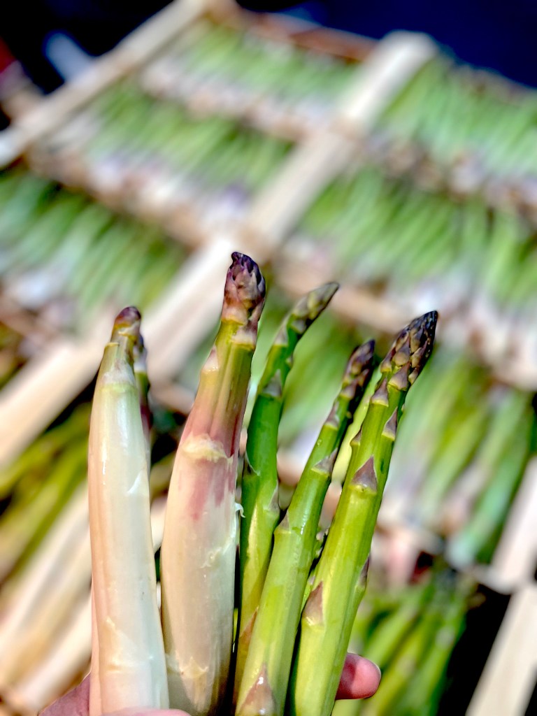 Menus de la semaine 15 par Mamscook