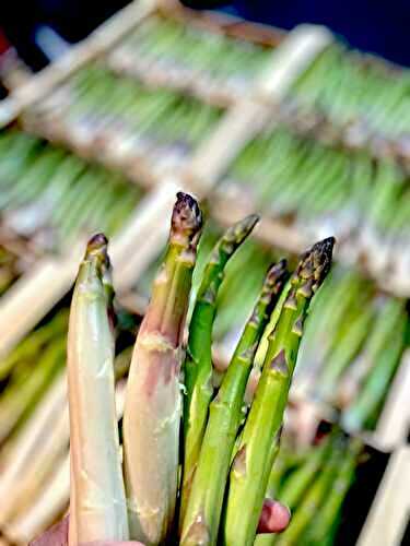 Menus de la semaine 15 par Mamscook