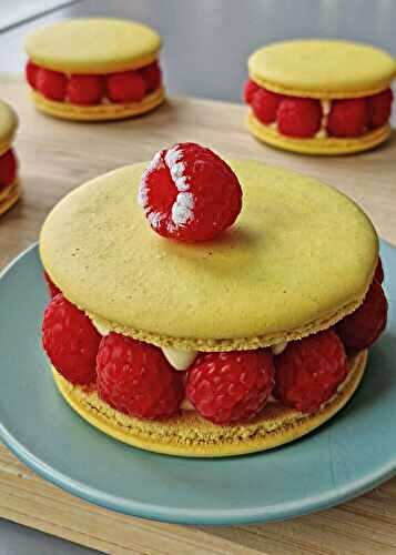 Gâteau macaron mangue framboise (sans gluten)