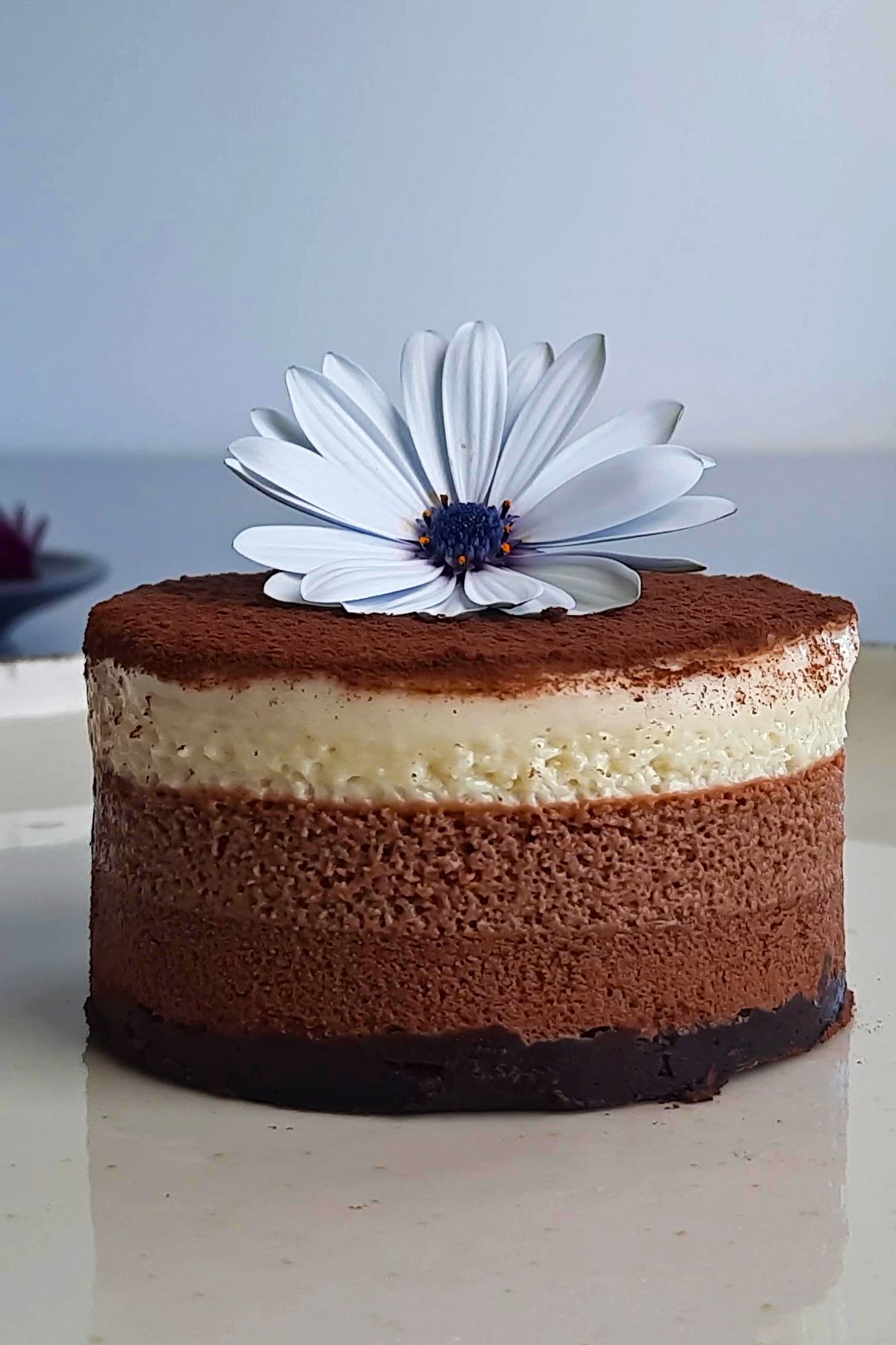 Gâteau mousse au chocolat vegan à 3 couches (sans gluten)