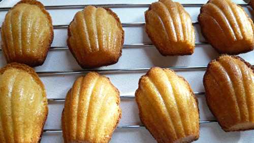 Madeleines