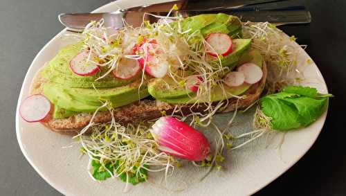 Tartines d’avocat